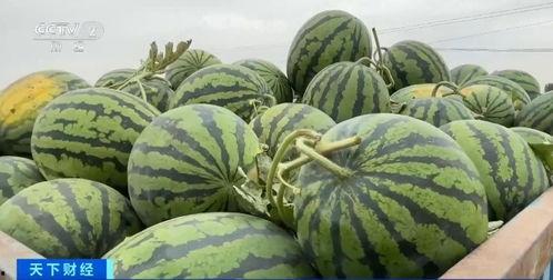 瓜瓜最新吃瓜爆料,揭秘娱乐圈惊天大瓜! 第2张 瓜瓜最新吃瓜爆料,揭秘娱乐圈惊天大瓜! 第2张