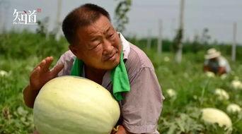 最新吃瓜爆料河北新闻,揭秘幕后真相，带你走进事件核心  第3张